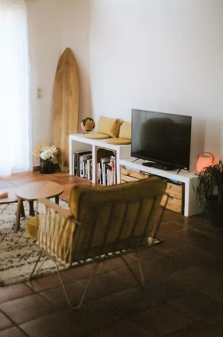 Maison Avec Jardin Tropical A 5 Minutes De La Croisette Cannes Holiday home